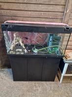 Juwel aquarium 180 liter, Dieren en Toebehoren, Vissen | Aquaria en Toebehoren, Ophalen, Leeg aquarium