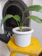 stevig vintage bloempotje, stijl & kwaliteit, ecri katwijk, Ophalen