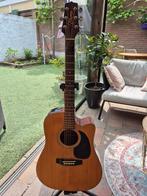 Takamine EG330SC, Ophalen, Gebruikt, Western- of Steelstringgitaar