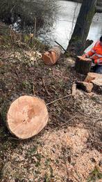 Haardhout - ca. 5 kuub - Veldhoven (afgesloten terrein), 3 tot 6 m³, Ophalen of Verzenden, Overige houtsoorten, Blokken