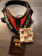 Tuig hond 3xs Julius K9 oranje, Ophalen of Verzenden, Nieuw