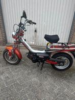 TOMOS YOUNGSTER helemaal in originele staat!!!, Fietsen en Brommers, Brommers | Tomos, Ophalen, Gebruikt, Overige modellen, 49 cc