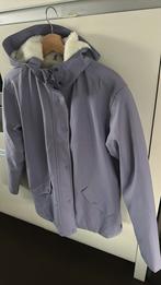 America Today regenjas teddy gevoerd winter, Ophalen of Verzenden, Zo goed als nieuw, Maat 36 (S), Paars