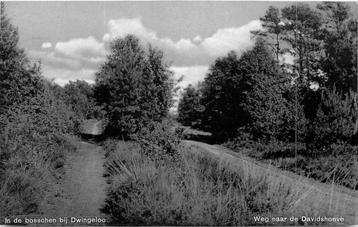 (381-077-027) Dwingeloo In de Bosschen beschikbaar voor biedingen