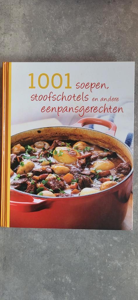 1001 Soepen, Stoofschotels en Eenpansgerechten, Boeken, Kookboeken, Zo goed als nieuw, Voorgerechten en Soepen, Hoofdgerechten
