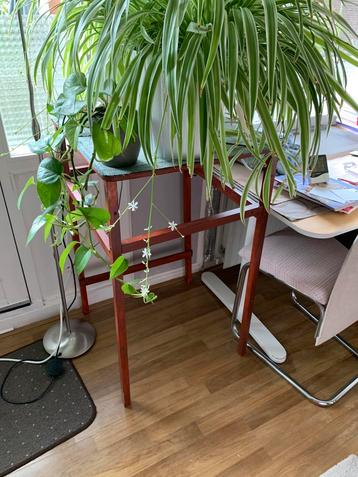Grote zelfgemaakte plantentafel beschikbaar voor biedingen