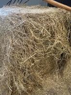 Midi baaltjes hooi 1e snede 2024, Dieren en Toebehoren, Ophalen, Vee