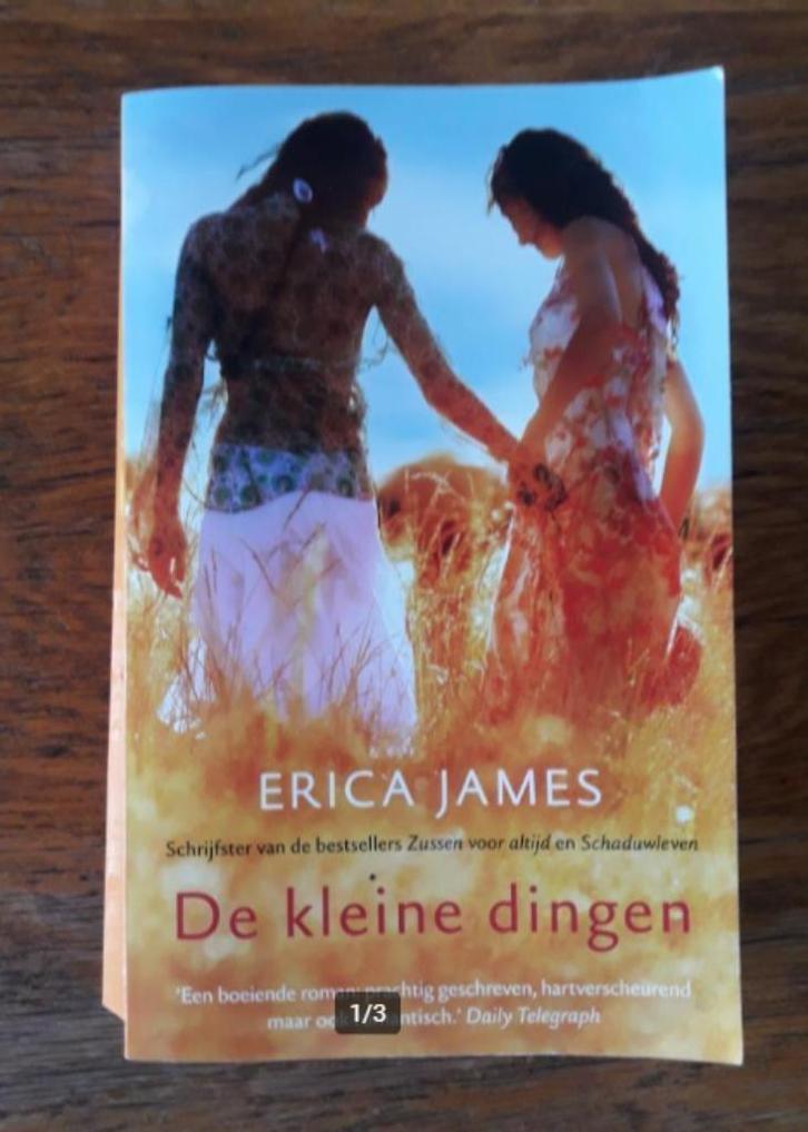 De kleine Dingen, Erica James., Boeken, Romans, Zo goed als nieuw, Europa overig, Ophalen of Verzenden