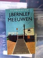 J Bernlef: Meeuwen, Boeken, Ophalen of Verzenden, Nederland