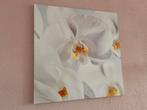 Orchidee op canvas, Huis en Inrichting, Ophalen, Zo goed als nieuw, Schilderij, Minder dan 50 cm