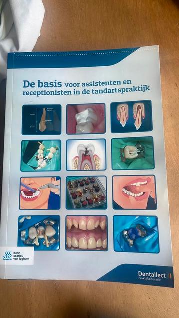 De basis voor assistenten en receptionisten in de tandartspr beschikbaar voor biedingen