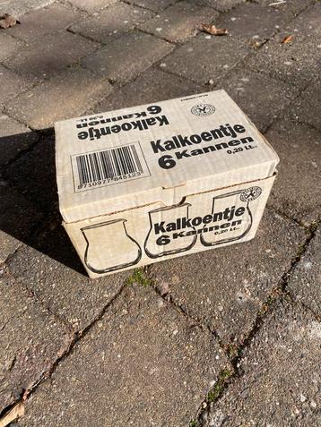 Kalkoentjes vaasjes beschikbaar voor biedingen