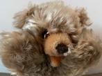 Steiff Floppy Zotty, 5507/17, Ophalen of Verzenden