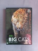 Dvd big Cats secret cats, Alle leeftijden, Ophalen, Zo goed als nieuw, Natuur