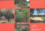 Chaam, Camping De Faasbloem., Verzamelen, Ansichtkaarten | Nederland, Verzenden, 1980 tot heden, Gelopen, Noord-Brabant