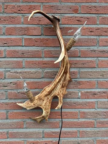 Geweien geweienlamp jacht Veluwe geweien edelhert wandlamp. beschikbaar voor biedingen