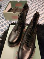 TWODAY BOOTS, Dieren en Toebehoren, Vogels | Duiven, Mannelijk