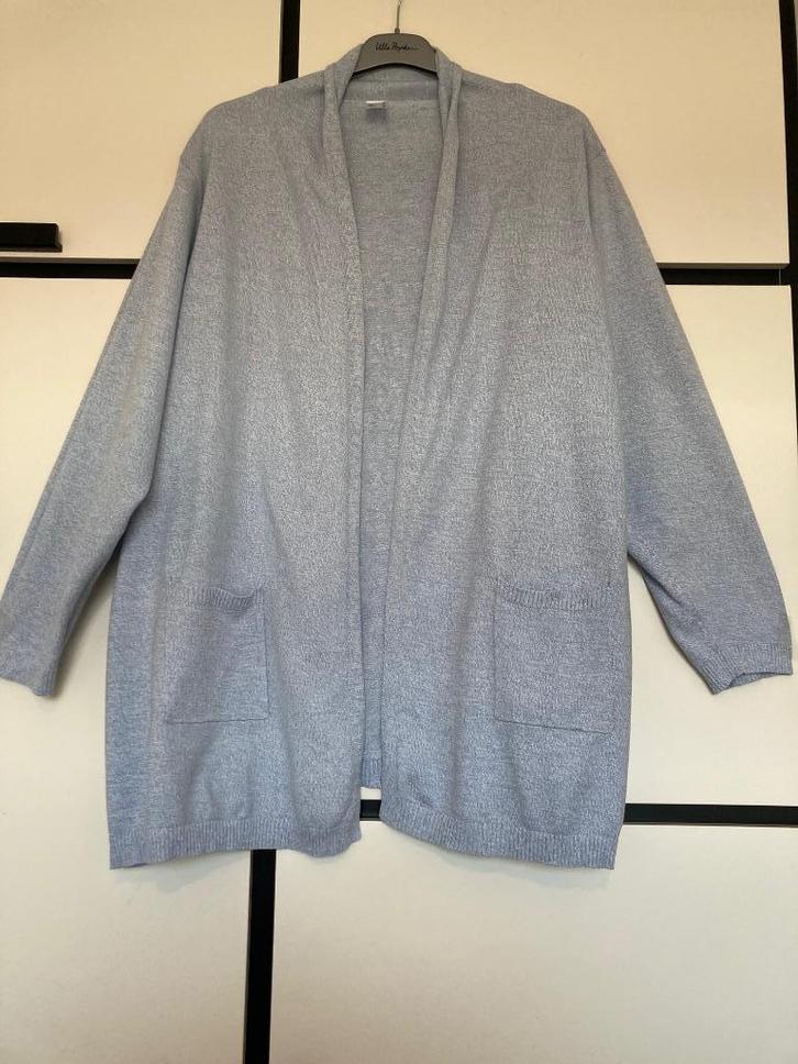 Vest NIEUW lichtblauw zakjes gemêleerd 100% katoen maat 52, Kleding | Dames, Truien en Vesten, Nieuw, Maat 46/48 (XL) of groter