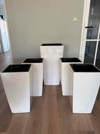 LECHUZA Plantenbak Color Cubico Kunststof 5 stuks, Ophalen, Rond, Kunststof, Binnen