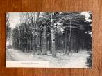 Winkelbosch, Dinxperlo., Verzamelen, Ophalen of Verzenden, Voor 1920, Ongelopen, Gelderland