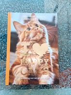 Anneleen Bru - I Love Happy Cats, Anneleen Bru, Ophalen of Verzenden, Zo goed als nieuw, Katten