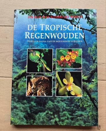 De Tropische Regenwouden - Flora en Fauna beschikbaar voor biedingen