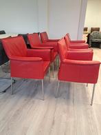 6 prachtige rood lederen Design on stock Gola stoelen, Ophalen, Design, Design on Stock, Leer