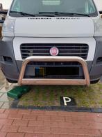 Misutonida bullbar, Ophalen, Gebruikt, Fiat