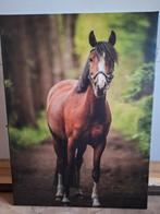 Canvas Poster Paard Pony 60 x 80 cm Zo Goed Als Nieuw, Huis en Inrichting, Woonaccessoires | Schilderijen, Tekeningen en Foto's