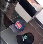 Dsquared2 Petten, Dsquared2, One size fits all, Ophalen of Verzenden, Pet