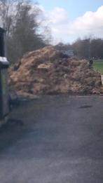 Oude koeien mest, Tuin en Terras, Aarde en Mest, Ophalen, Mest