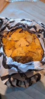 Ginkgo Biloba Bladeren - 600g, Handgeplukt, Minder dan 3 m³, Ophalen of Verzenden, Overige houtsoorten, Takken