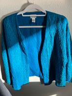 Blauwe blouse zijde maat L, Ophalen of Verzenden, Zo goed als nieuw, Maat 46/48 (XL) of groter, Blauw
