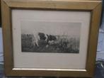 Mooie ets, koeien langs een slootkant, Maris ??, Antiek en Kunst, Kunst | Etsen en Gravures, Ophalen of Verzenden