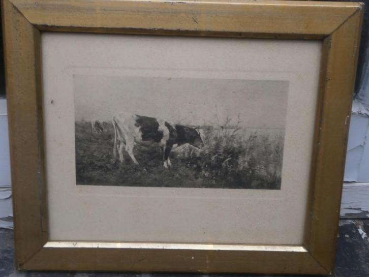 Mooie ets, koeien langs een slootkant, Maris ??, Antiek en Kunst, Kunst | Etsen en Gravures, Ophalen of Verzenden