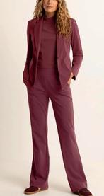 Expresso broek donker rood ( travelstof), Maat 38/40 (M), Expresso, Nieuw, Ophalen of Verzenden