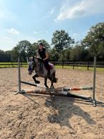 verzorgpony gezocht/verzorger aangeboden, Dieren en Toebehoren, Ophalen of Verzenden, Nieuw, Recreatie