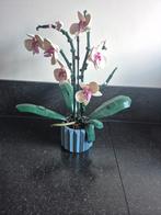Lego 10311 Orchidee, Kinderen en Baby's, Speelgoed | Duplo en Lego, Ophalen of Verzenden, Zo goed als nieuw, Complete set, Lego