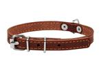 WAUDOG CoLLar Halsband Leder XS Nekom 27-35 cm Bruin KOOPJE!, Dieren en Toebehoren, Hondenhalsbanden en Penningen, Nieuw, Ophalen of Verzenden