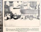 Den haag 1923, suriname-tentoonstelling in onderwijs-museum, Verzamelen, Ophalen of Verzenden, Voor 1940, Gebruikt, Overige onderwerpen