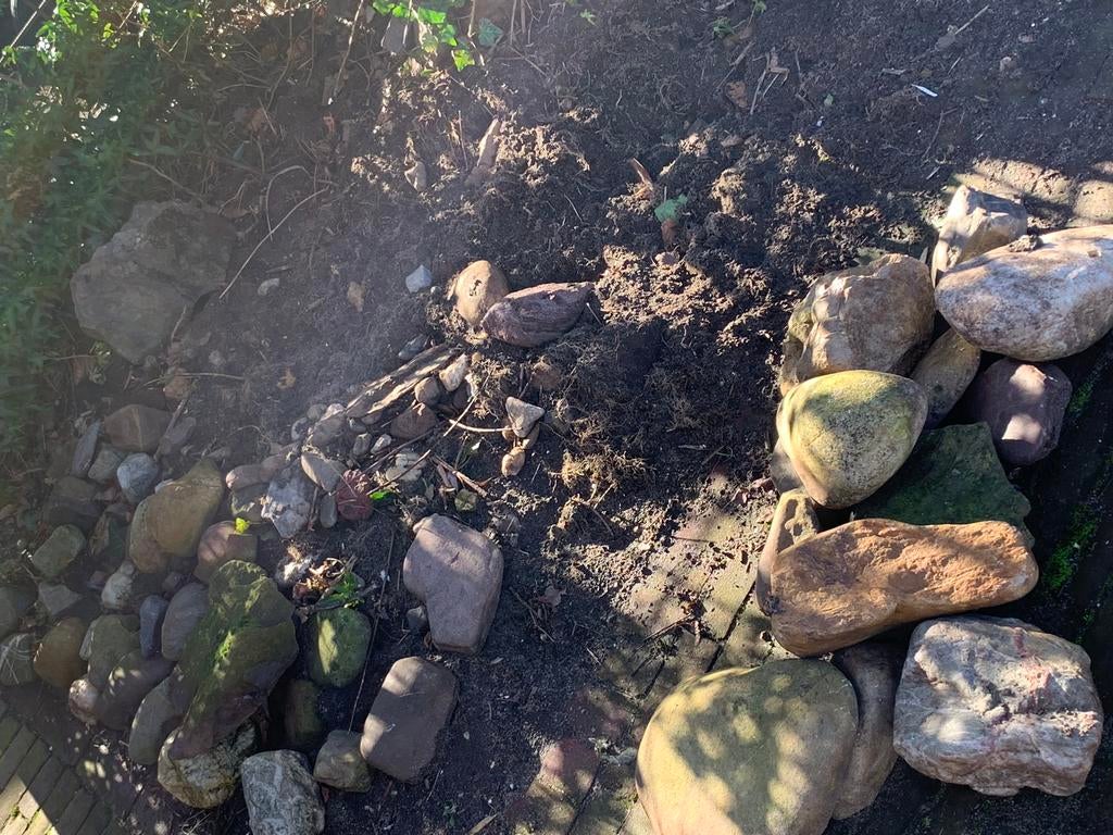 Gratis mooie vijver of terrasstenen, Tuin en Terras, Vijvers, Ophalen of Verzenden, Gebruikt