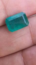 Zambia smaragd 5,55 karaats (+certificaat, Verzenden, Nieuw