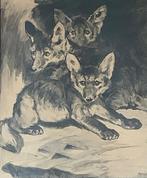 C.J.Mension 1882-1950 Jonge Vosjes, Ophalen of Verzenden