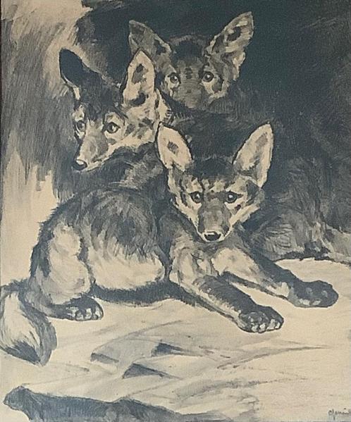 C.J.Mension 1882-1950 Jonge Vosjes, Antiek en Kunst, Kunst | Litho's en Zeefdrukken, Ophalen of Verzenden