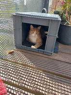 Grijze kratten met grijp opening/ schuilplaats 60x40x30 cm, Ophalen, Doos, 100 cm of meer, 60 cm of meer