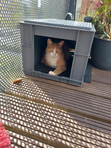 Grijze kratten met grijp opening/ schuilplaats 60x40x30 cm  beschikbaar voor biedingen