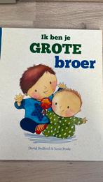 Ik ben je grote broer, Boeken, Ophalen of Verzenden, Zo goed als nieuw