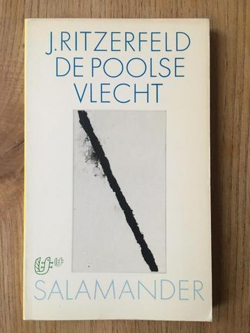 De Poolse vlecht, 	J Ritzerfeld, 	42 beschikbaar voor biedingen