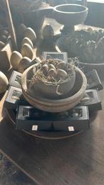 Betonnen eitjes van PMR, Ophalen of Verzenden