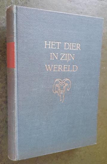 Het dier in zijn wereld.  beschikbaar voor biedingen